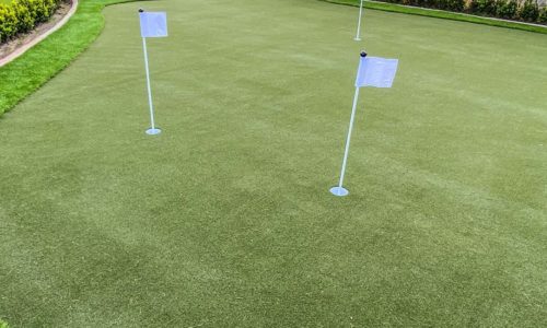 easigrass-golf